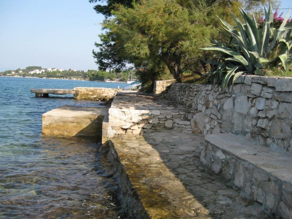 Zora Necujam